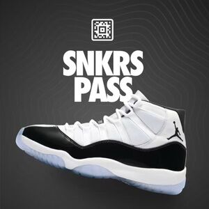 Nike Jordan Retro Concord High Tops